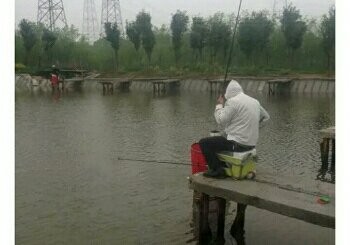 绿之星生态垂钓园