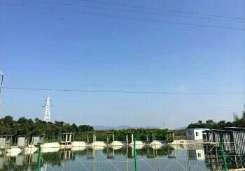 上洞猪仔钓鱼场