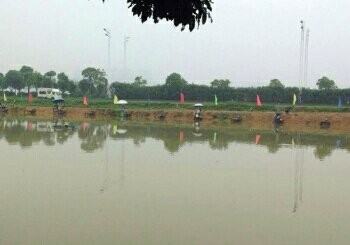 强盛休闲垂钓园