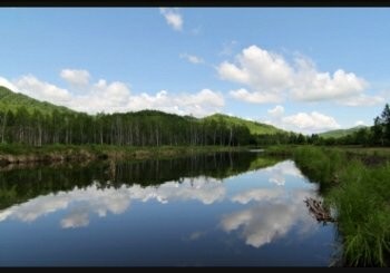 老江河梦幻钓场