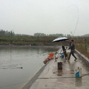 达达垂钓园