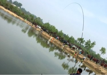 牧青园艺垂钓中心