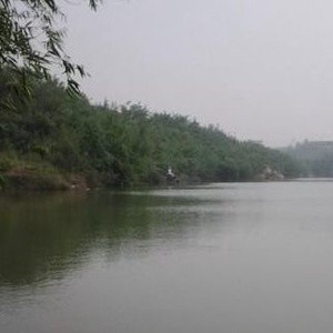 西竹昌南山钓鱼池