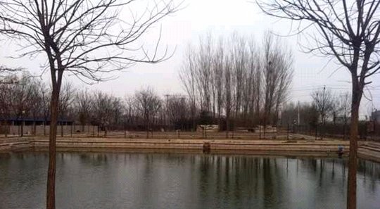 斌斌垂钓渔乐园