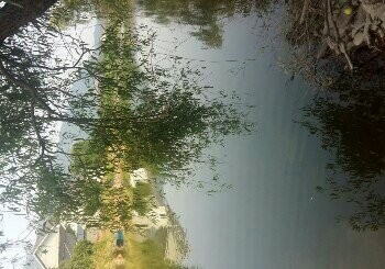 新中州农庄钓鱼场