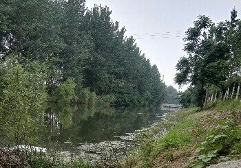 车辙沟闸北钓点