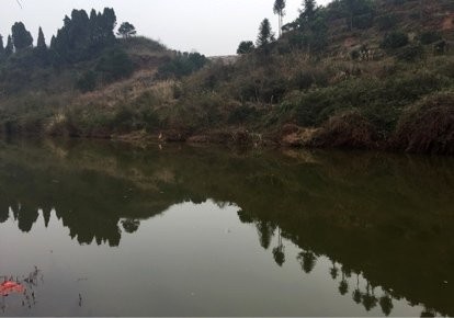 阿森松钓友俱乐部第三钓场