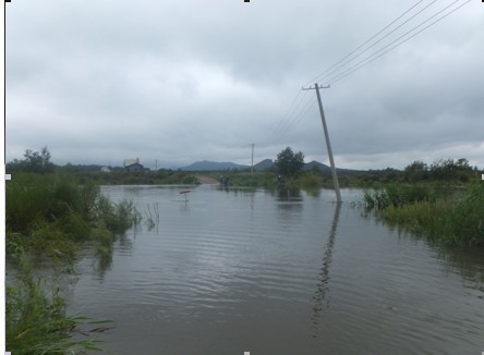 二龙山农场五分场水库