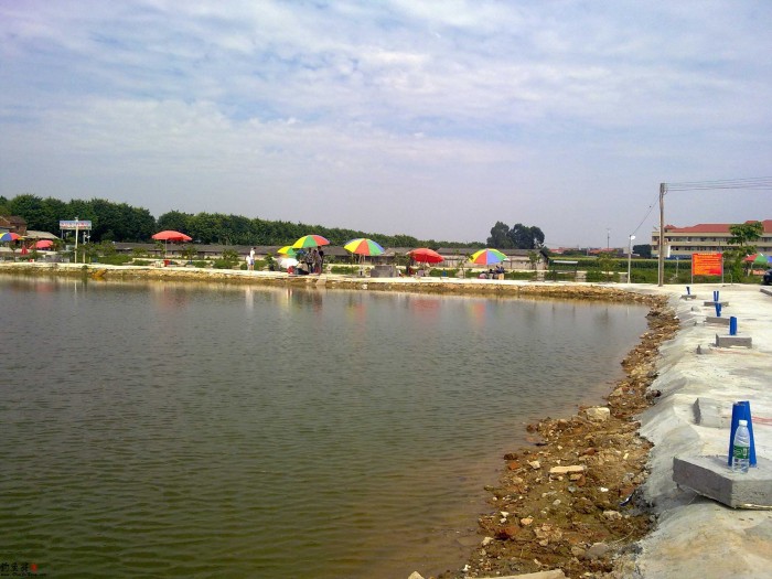 龙归基围钓鱼场