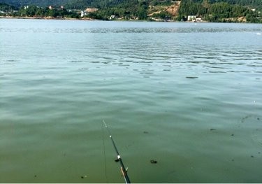 苍溪亭子囗水库