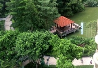 富力桃园小河钓场