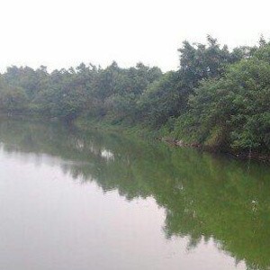 广州从化松生天然钓场