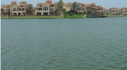 流花湖公园钓鱼区