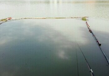 转塘水库自制钓位