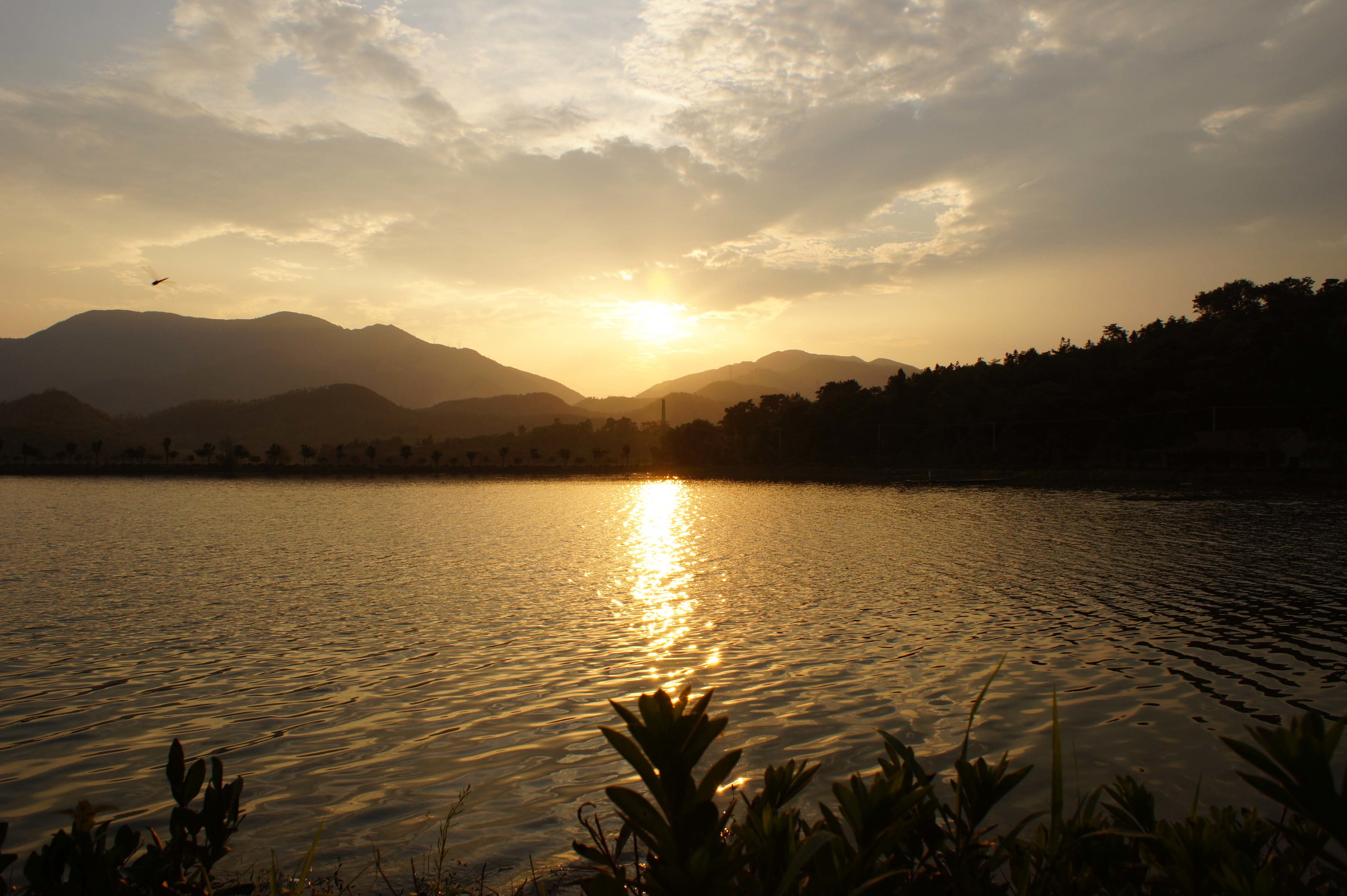 四合水库(松涛湖风景区)