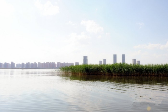 东红海子湿地公园垂钓区