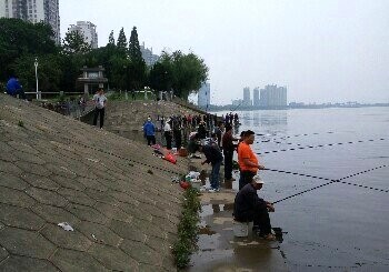 沅江南碈闸口钓场