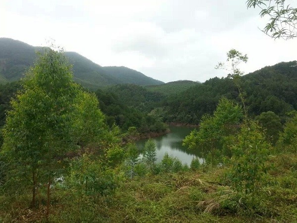 鸿鸪水库