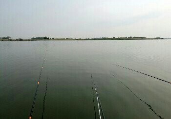 青泥湖渔场