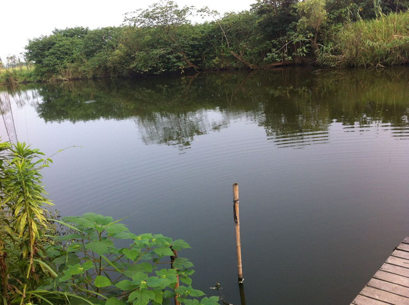长寿湖听湖湾农家乐
