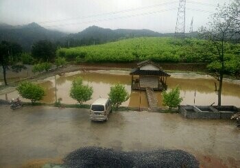 高雅岭生态农业休闲基地