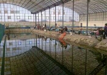 大道王庄垂钓园