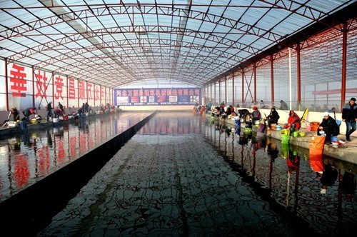 河北万顺昌竞技垂钓中心