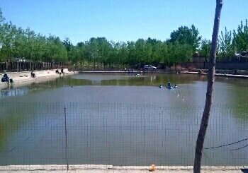 曹家庄伟程垂钓园