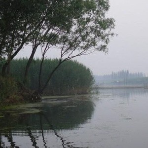 白洋淀枣林庄老薛天坑