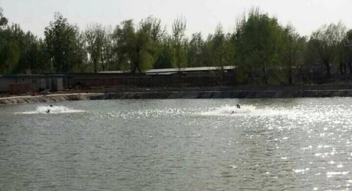 顺义马卷垂钓园