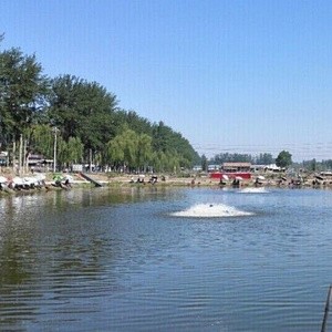 水木清华垂钓园