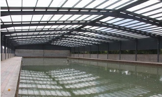 东冠大棚垂钓园