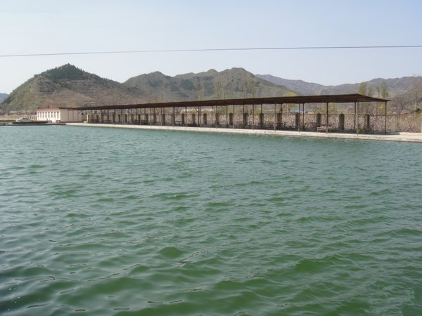 绿色生态度假村-垂钓园