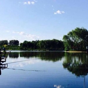 八仙别墅垂钓俱乐部