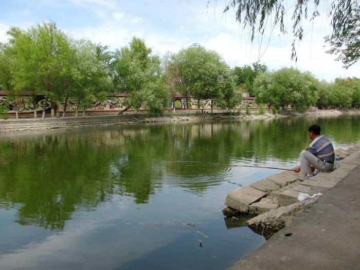 鱼乡田园农家院