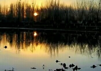 小龙河湿地公园