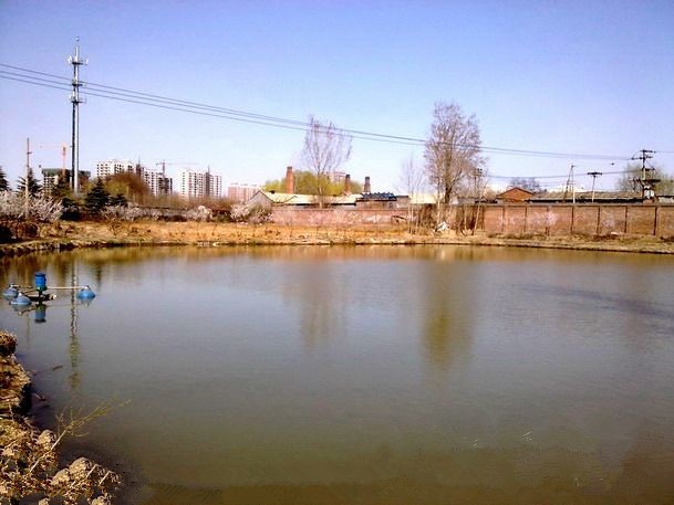 九棵树垂钓园(翠屏南里南)