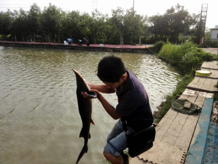 大鲁店老大垂钓