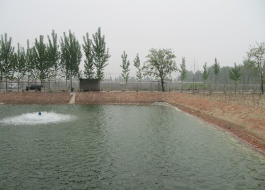 金穗麦动垂钓园