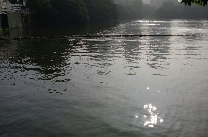 九山游泳协会旁边