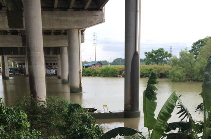 17涌东闸高架桥下