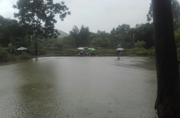 玉林二环路蔡村