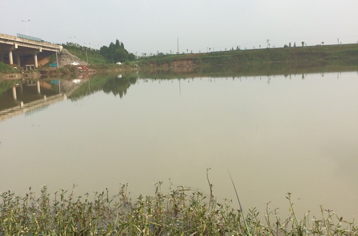 自然水域红船豆航电枢纽