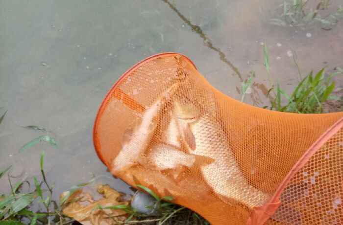 江城曲水龙塘丫口寨