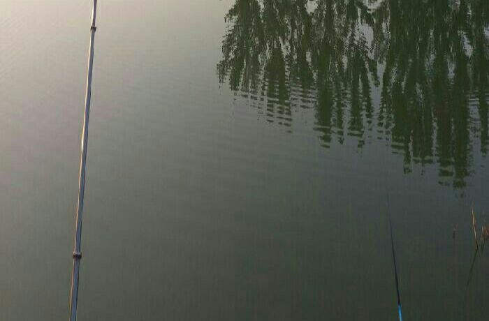 同口小桥垂钓园