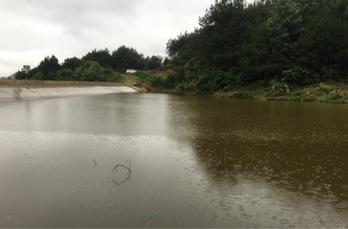 金鸡村周文冲鱼塘