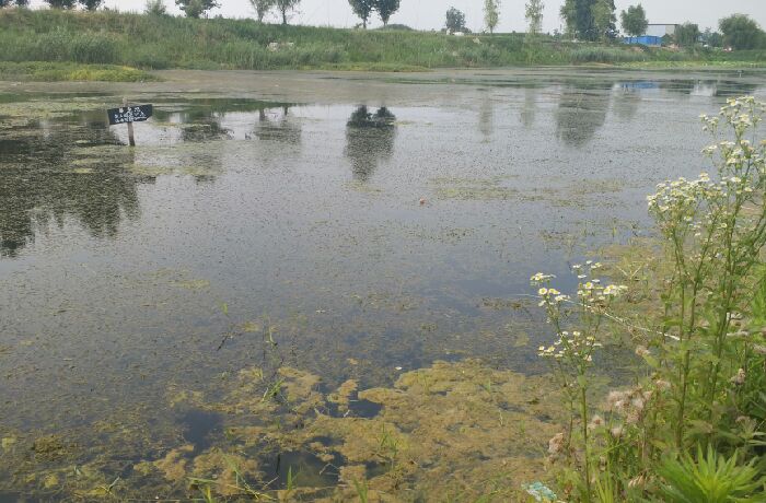 付村富源小区后面