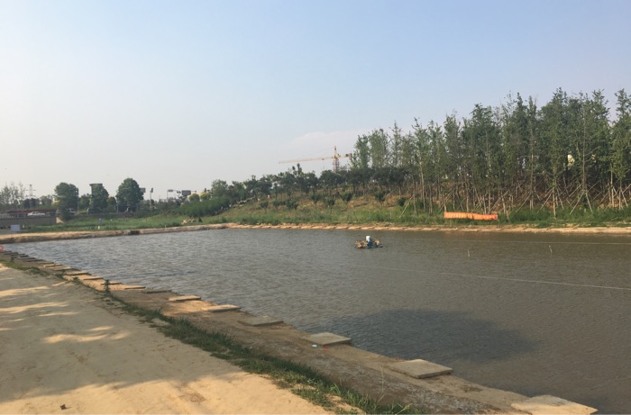 胶州大屯荷花塘钓厂