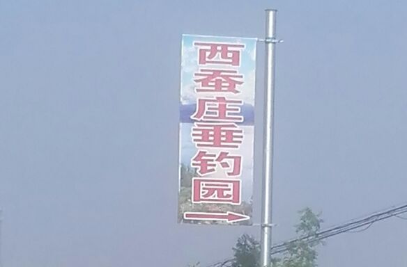 莱州西蚕庄垂钓园