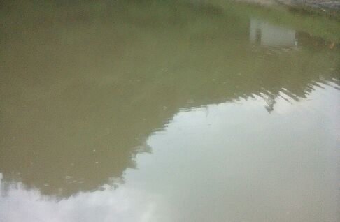 冲天浴垂钓中心